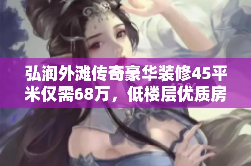 弘润外滩传奇豪华装修45平米仅需68万，低楼层优质房源待售