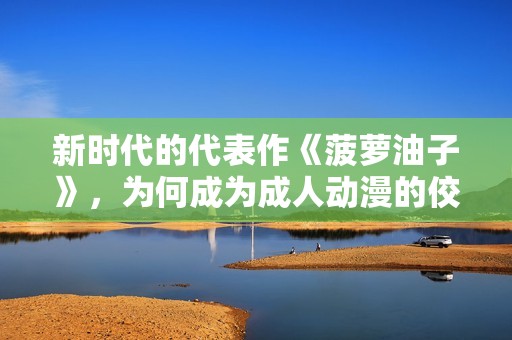 新时代的代表作《菠萝油子》，为何成为成人动漫的佼佼者？