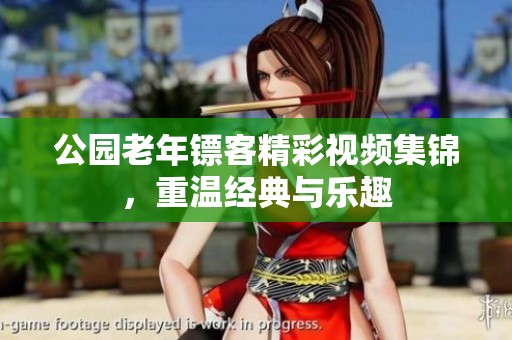 公园老年镖客精彩视频集锦，重温经典与乐趣