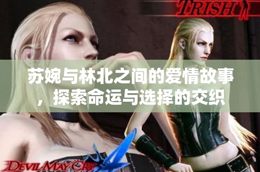 苏婉与林北之间的爱情故事，探索命运与选择的交织