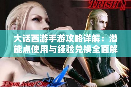 大话西游手游攻略详解：潜能点使用与经验兑换全面解析