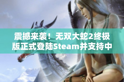 震撼来袭！无双大蛇2终极版正式登陆Steam并支持中文