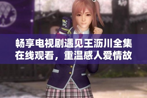 畅享电视剧遇见王沥川全集在线观看，重温感人爱情故事