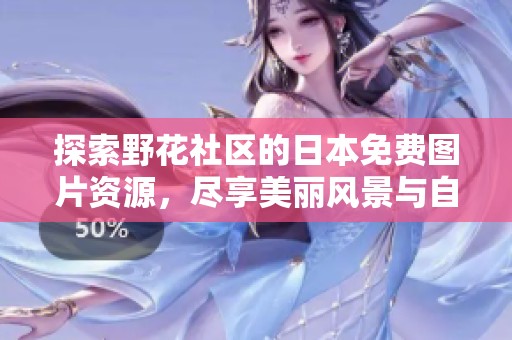 探索野花社区的日本免费图片资源，尽享美丽风景与自然魅力的在线分享平台