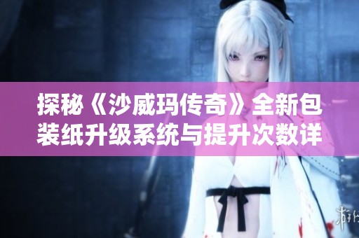 探秘《沙威玛传奇》全新包装纸升级系统与提升次数详细解析攻略