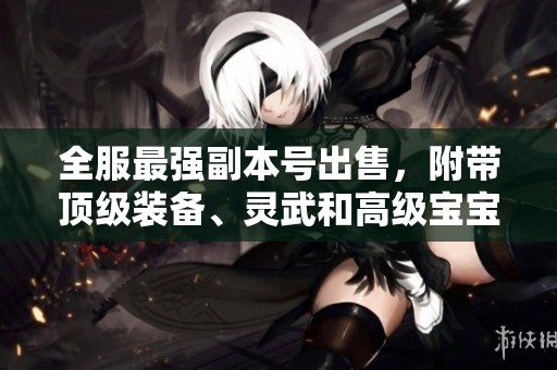 全服最强副本号出售，附带顶级装备、灵武和高级宝宝，仓库等级四级三重！