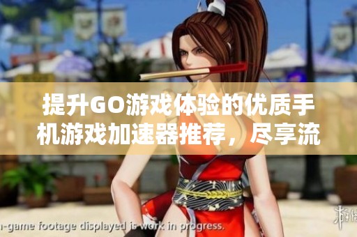 提升GO游戏体验的优质手机游戏加速器推荐，尽享流畅畅玩之旅