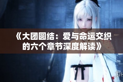 《大团圆结：爱与命运交织的六个章节深度解读》