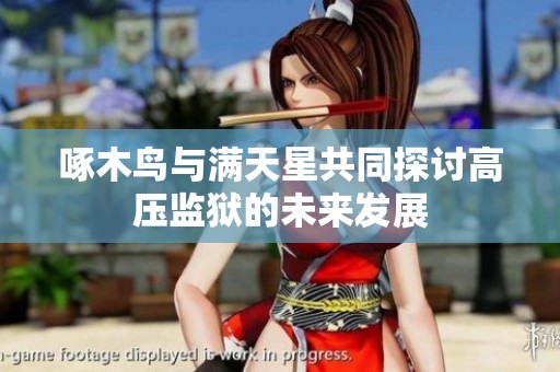 啄木鸟与满天星共同探讨高压监狱的未来发展