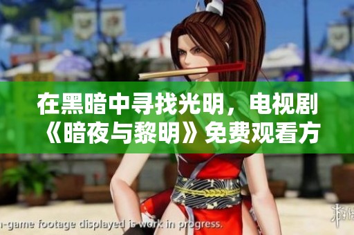 在黑暗中寻找光明，电视剧《暗夜与黎明》免费观看方案探讨